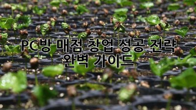 PC방 매점 창업, 성공 전략 완벽 가이드