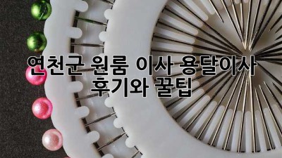 연천군 원룸 이사? 용달이사 후기와 꿀팁!