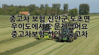 🚗💨 중고차 보험, 신안군 도초면 우이도에서도 문제없어요! #중고차보험 #신안군중고차