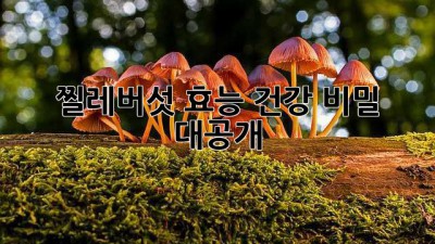 찔레버섯 효능: 건강 비밀 대공개!